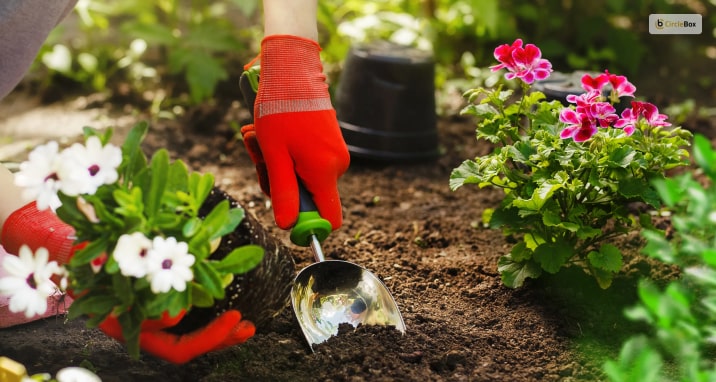 Best Home Gardening Tips For Beginners!

