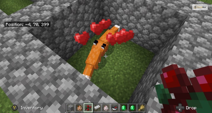 How To Tame Fox In Minecraft