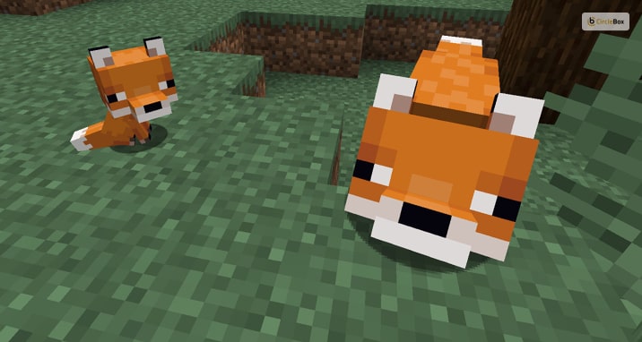 What Is A Fox In Minecraft