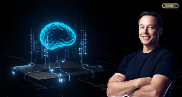 What Is The IQ Of Elon Musk