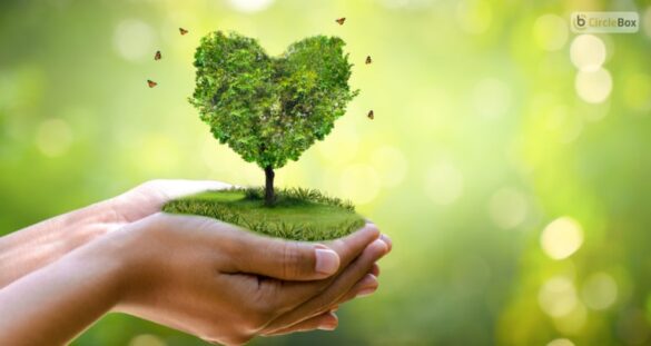 Importance Of Green Living In Our Life And Environment