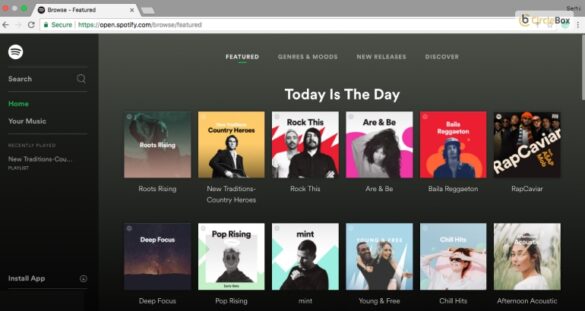 Spotify Web Player