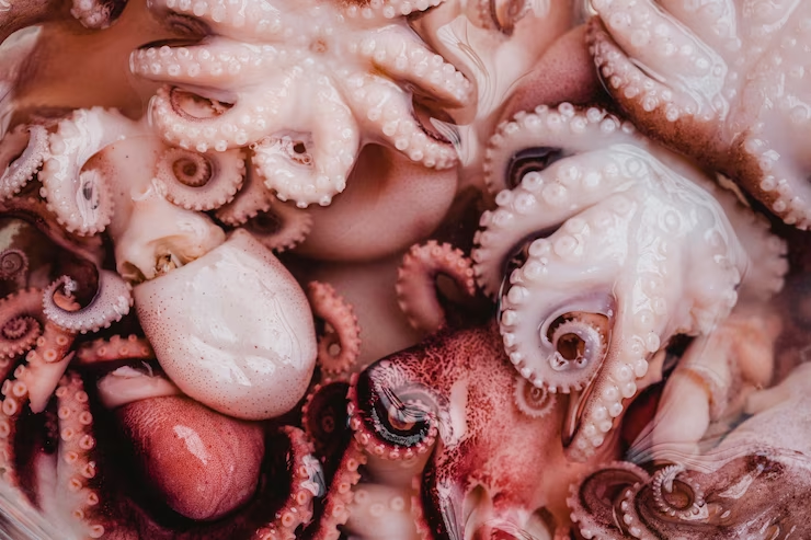  cost of octopus, squid, and calamari 